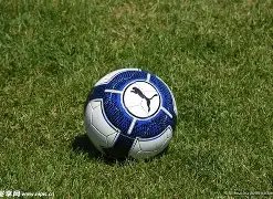 戴资颖陈雨,菲对决全英,赛精彩回顾,开云体育平台,开云体育官方网站,开云体育登录入口,开云体育app下载