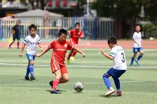 萌娃背影曝,小海绵成长,显著头部圆,开云体育平台,开云体育官方网站,开云体育登录入口,开云体育app下载