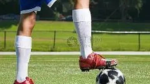 开云体育 资讯 112203 n7y