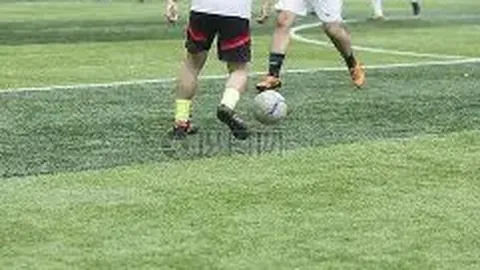 开云体育 产品 112902 lxd