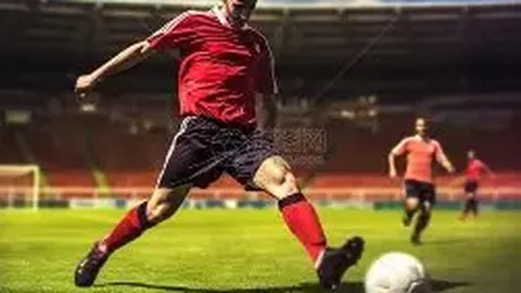 美德乐北交所IPO临近：盈利疑虑、财务风险笼罩上市之路